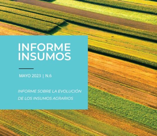 Informe insumos (mayo 2023)