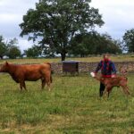 El Gobierno aprueba ayudas directas para hacer frente a la sequía y amplía el plazo de la PAC al 30 de junio