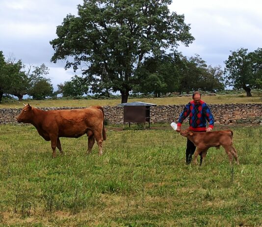 El Gobierno aprueba ayudas directas para hacer frente a la sequía y amplía el plazo de la PAC al 30 de junio