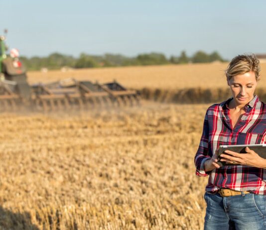 Luz verde a la creación del cuaderno digital obligatorio