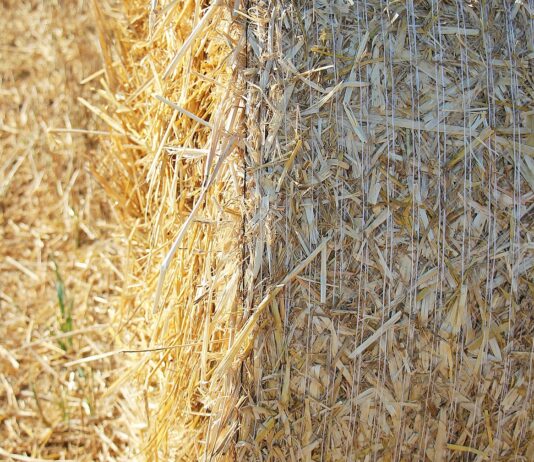 Lonja Agropecuaria de Salamanca del 8 de mayo de 2023