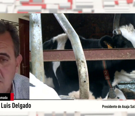 Entrevista sobre tuberculosis a Juan Luis Delgado en la 8 Burgos