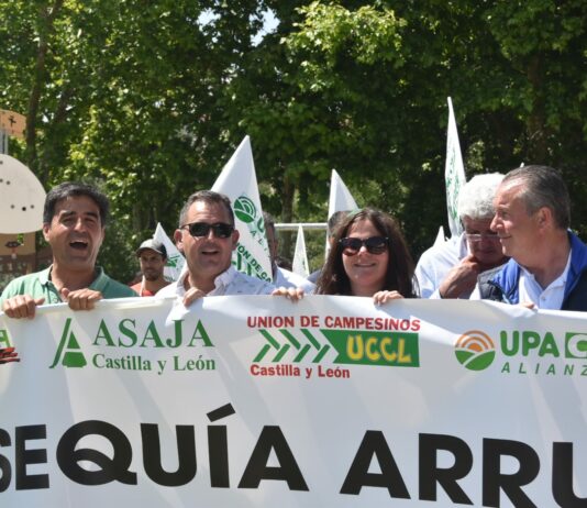La Junta declara la campaña agrícola 2022-2023 como «excepcional» debido a la climatología adversa