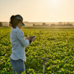 Nota aclaratoria sobre la entrada en vigor del cuaderno digital de explotación agrícola