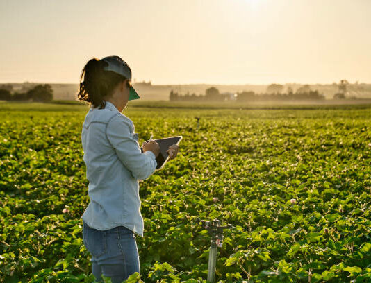 Nota aclaratoria sobre la entrada en vigor del cuaderno digital de explotación agrícola