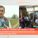 La crisis del ganado en Salamanca