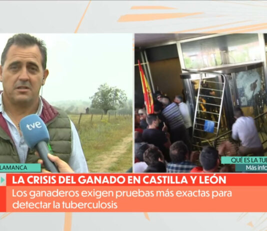La crisis del ganado en Salamanca