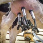 Estudio de costes de producción de la leche de vaca en Castilla y León