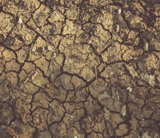 Ayudas extraordinarias para la agricultura por la sequía Ayudas extraordinarias para la agricultura por la sequía