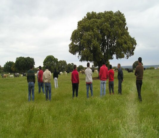 NUEVO CURSO DE INCORPORACIÓN A LA EMPRESA AGRARIA EN MODALIDAD ON LINE