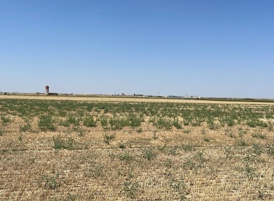 “Nos obligan a echar herbicida”: La protesta de Asaja Salamanca ante el plan de la PAC Herbicida
