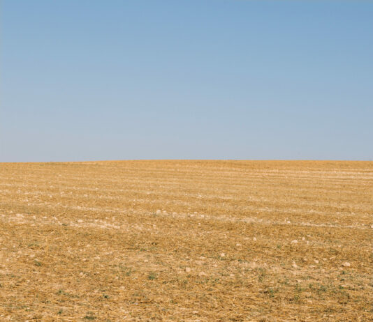 La Junta de Castilla y León publica las bases de sus ayudas a los intereses de los préstamos por la sequía Sequia