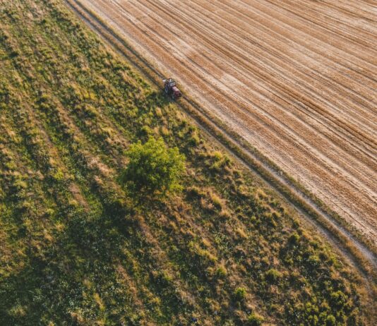 NUEVO CURSO DE INCORPORACIÓN A LA EMPRESA AGRARIA EN MODALIDAD ON LINE Curso de incorporación