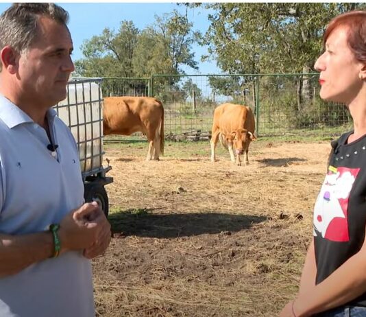 La crisis de la EHE: Juan Luis Delgado explica la situación actual de la enfermedad