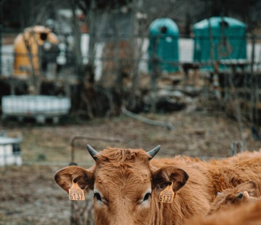 ASAJA Salamanca organiza una Jornada sobre ‘PAC Y EHE’
