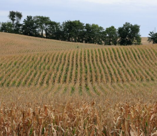 Se amplía el plazo al 10 de octubre para acogerse a las ayudas a la sucesión de explotaciones