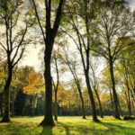 César Luena se salta a la torera el mandato del Parlamento Europeo y reintroduce la agricultura en la Ley de Restauración de la Naturaleza