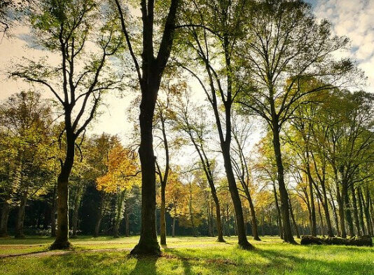 César Luena se salta a la torera el mandato del Parlamento Europeo y reintroduce la agricultura en la Ley de Restauración de la Naturaleza