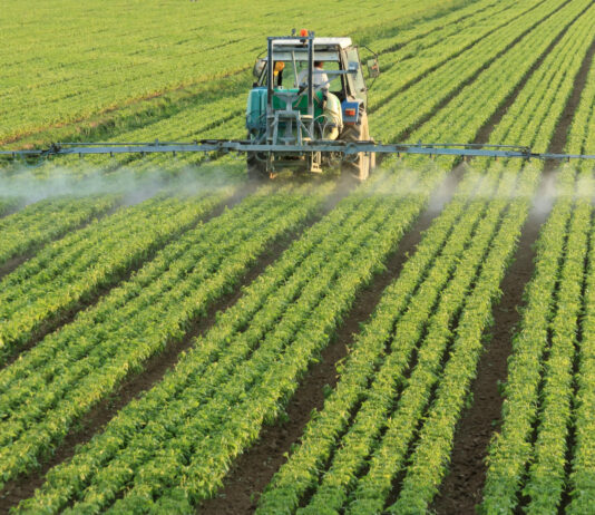 Publicada la lista de beneficiarios de ayuda directa complementaria a la indemnización por siniestros de sequía a los titulares de explotaciones agrarias de Castilla y León