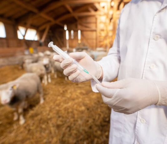 Jornada sobre Sanidad Animal, Ayudas y Ordenación de Explotaciones de Bovino