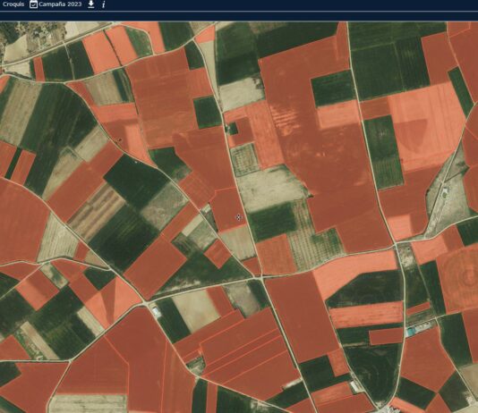 ASAJA Salamanca recomienda a los agricultores y ganaderos entrar en SIGPAC y comprobar cultivos repetidos para la BCAM 7