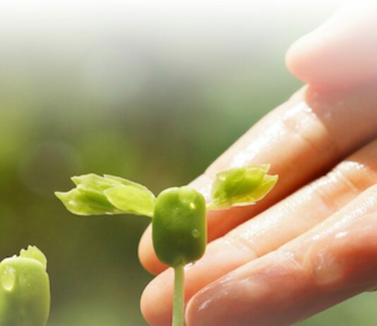 Jornada sobre el Sector Agropecuario: impacto ambiental y objetivos del pacto verde europeo