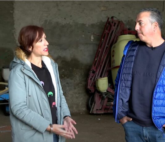 Aumenta la superficie de remolacha en la provincia-Campo salmantino, 11 diciembre de 2023