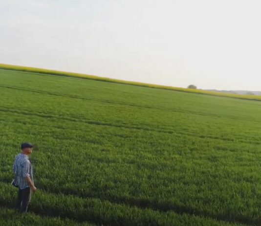 El kit digital con ASAJA- Campo Salmantino, 15 de enero de 2024