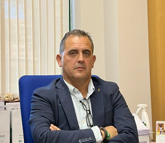 Con estos bueyes tenemos que arar