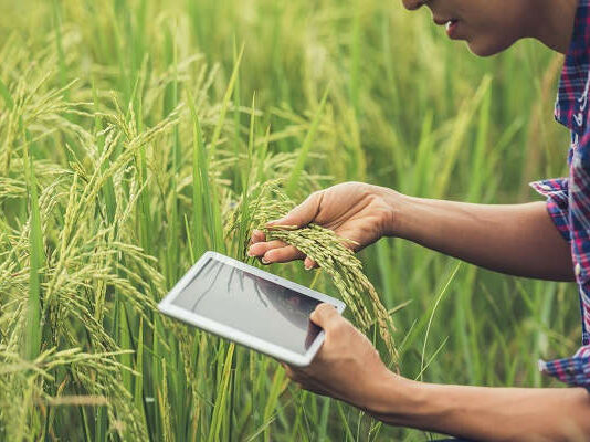 Nuevo curso sobre Innovación y Tecnología aplicada al sector agropecuario