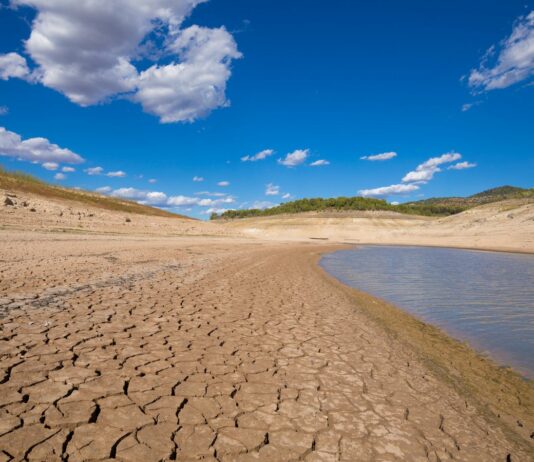 El 15 de febrero finaliza el plazo para formalizar los préstamos bonificados por la sequía