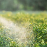 ASAJA Salamanca recuerda distintos aspectos Sobre la Caducidad y Renovación del Carné de Usuario Profesional de Fitosanitarios