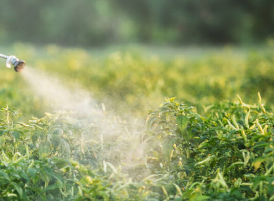 ASAJA Salamanca recuerda distintos aspectos Sobre la Caducidad y Renovación del Carné de Usuario Profesional de Fitosanitarios