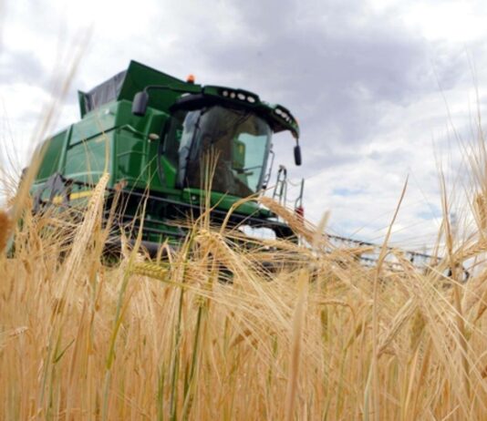 Publicado el listado de beneficiarios por la sequía y la guerra de Ucrania