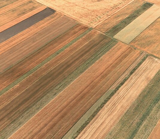 Información importante PAC 2024