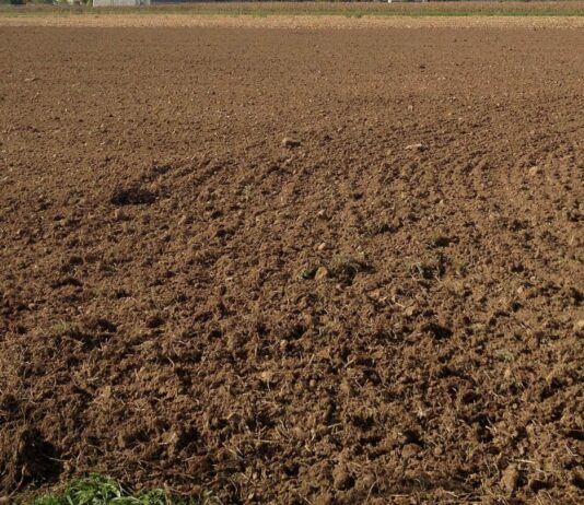 Circular importante sobre los barbechos