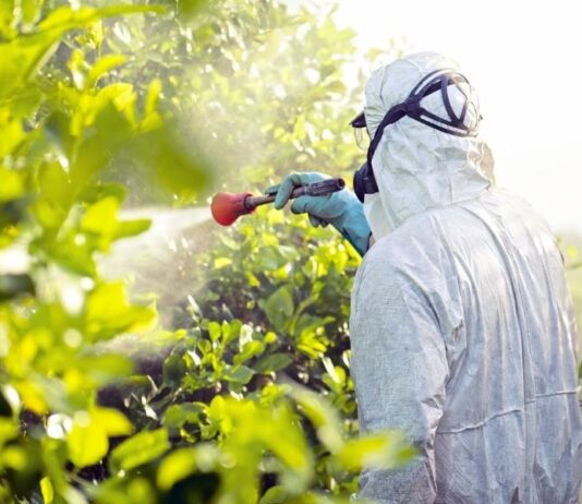 Nuevo curso de manipulador de plaguicidas de uso fitosanitario nivel básico