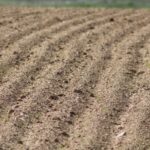 Asignados nuevos derechos de ayuda básica a la renta a 569 agricultores de Castilla y León