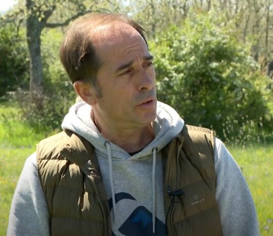 Las lluvias dan un respiro a los ganaderos