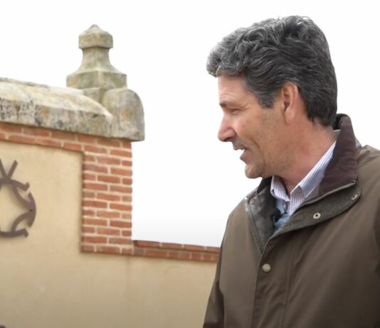 Dehesa y toro bravo como propuesta turística-Campo salmantino, 13 de mayo de 2024