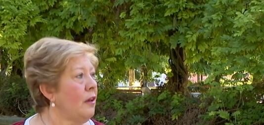 Desesperación entre los ganaderos por los ataques del lobo”-Campo salmantino, 24 de junio de 2024