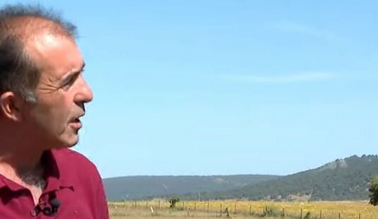 Los ganaderos, indefensos ante los ataques de buitres- Campo salmantino, 03 de mayo de 2024