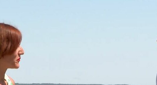 Las olas de calor y los pulgones merman la cosecha de lentejas- Campo salmantino, 8 de julio de 2024