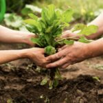 Próximo convocatoria de ayudas a proyectos productivos del Grupo de Acción Local Nordeste de Salamanca de Fondos Leader