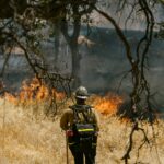 La Junta de Castilla y León declara la alerta de riesgo elevado por incendios del 18 al 20 de julio de 2024