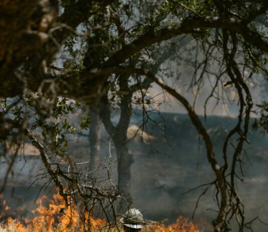 La Junta de Castilla y León declara la alerta de riesgo elevado por incendios del 18 al 20 de julio de 2024