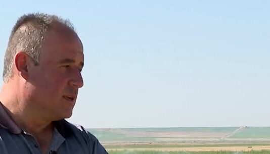 Preocupación por los topillos- Campo salmantino, 05 de agosto de 2024