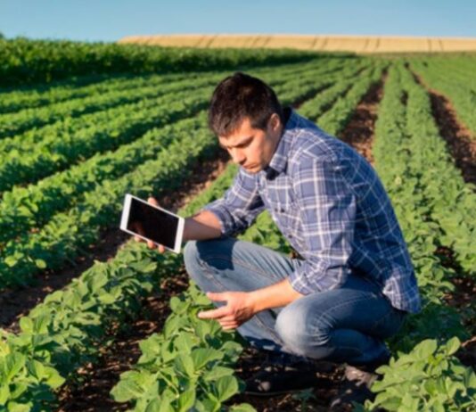 Nuevo curso de incorporación a la empresa agraria en modalidad online