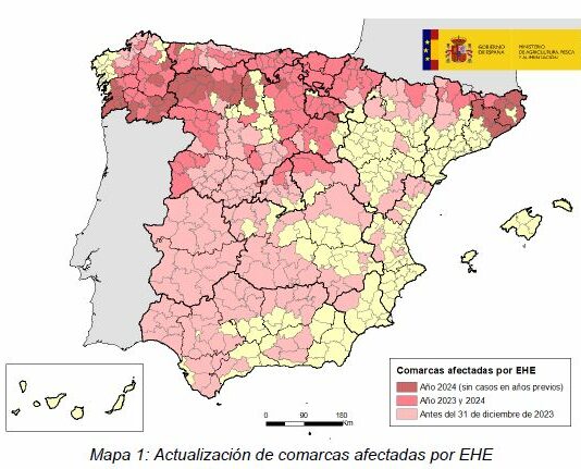 Enfermedad hemorrágica epizoótica (EHE): actualización de focos en bovino