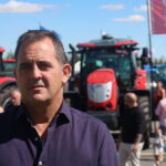 El mercado nos vuelve a fallar